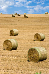 Fototapeta na wymiar barley field after harvest with straw, Czech Republic