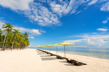Plakat Beautiful beach with sunbeds, umbrellas and palms. Blue sky with clouds and sea on background.