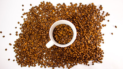 white cup filled with roasted coffee beans on a ground of roasted coffee beans