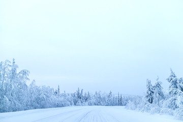 Winter forest road, christmas in Finland