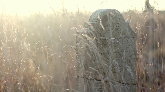Antique Gravestones on Old Jewish Cemetery at Sunrise Steadicam