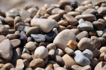 Fototapeta na wymiar Beach Stones