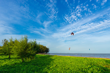 Fresh green meadows by the seaside