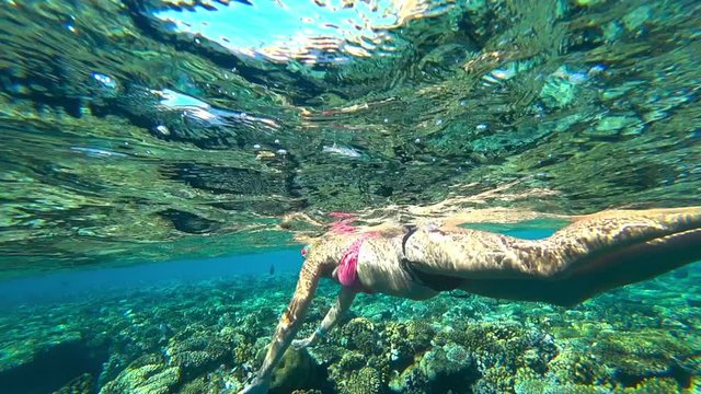 elderly woman and snorkeling