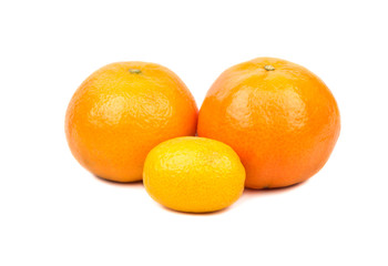 Mandarin and kumquat
