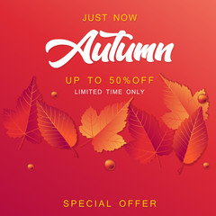 Autumn Sale Vector illustration