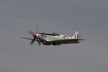 Fototapeta na wymiar Spitfire (Griffon Engine|) In Flight