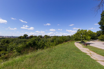 Green Hill with Trees