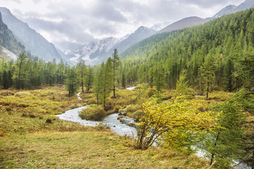 Fototapeta premium Rzeka w dolinie Kuiguk. Jesienny krajobraz gór Ałtaj