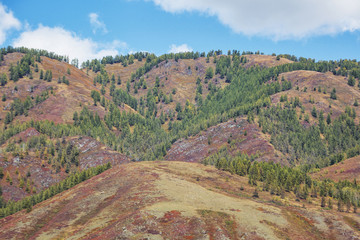 Autumn slope of the Altai Mountains landscape