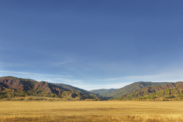Mountain Altai  autumn landscape. Russia
