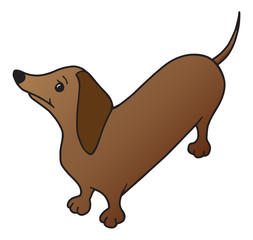 Cartoon wiener dog is staring upward expectantly