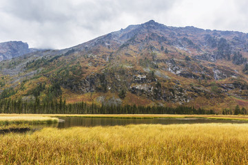 Fototapeta premium Multa river valley, Altai mountains autumn landscape