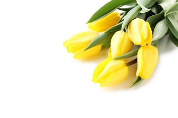 Obraz premium Bouquet of yellow tulips isolated on a white