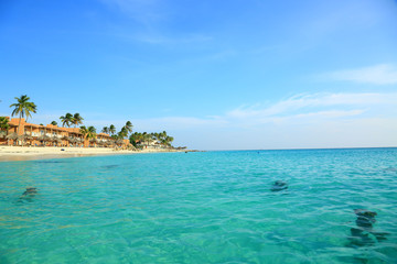 Amazing beauty white sand beach of Aruba Island. Turquoise sea water and blue sky. Beautiful background.