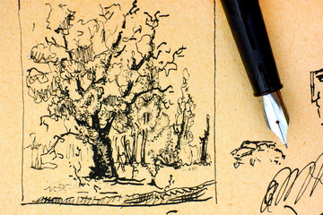 Oak tree drawing by ink with fountain pen.