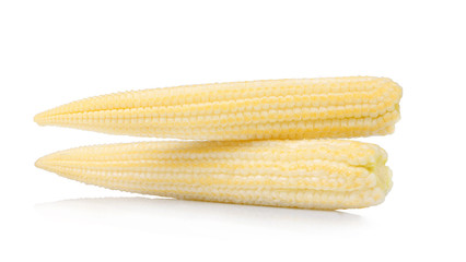 baby corn isolated on white background