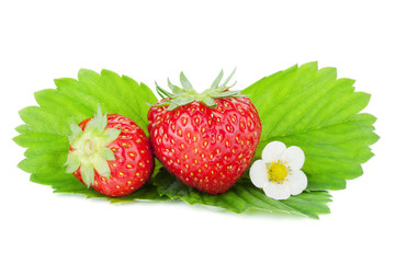 Two strawberry fruits with green leaves and flowers