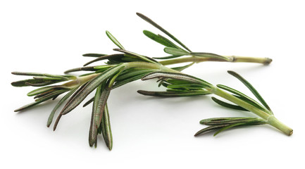 Fototapeta premium Fresh organic rosemary