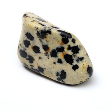 Dalmatian jasper stone