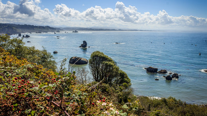 Trinidad, California Coast