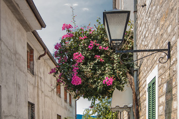 Fototapeta na wymiar A stunning view of the street in the old town of Ulcinj at sunset. Pots of flowers, Sunlight on a stone arch. Travel Montenegro