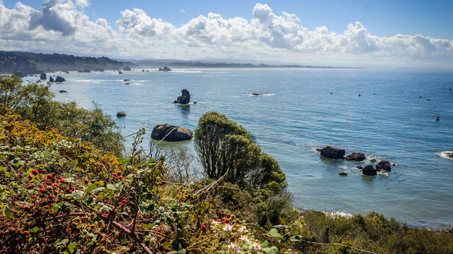 Trinidad, California Coast