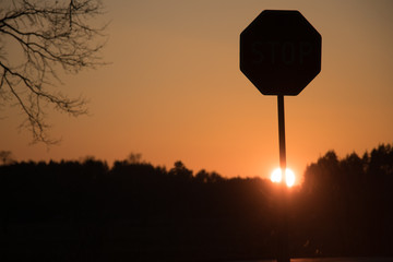 a road sign standing on a background of the setting sun standing above a line of black forest and...