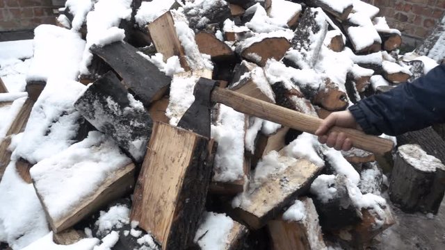 Preparation of firewood for the winter. firewood background, Stacks of firewood in the forest. Pile of firewood.