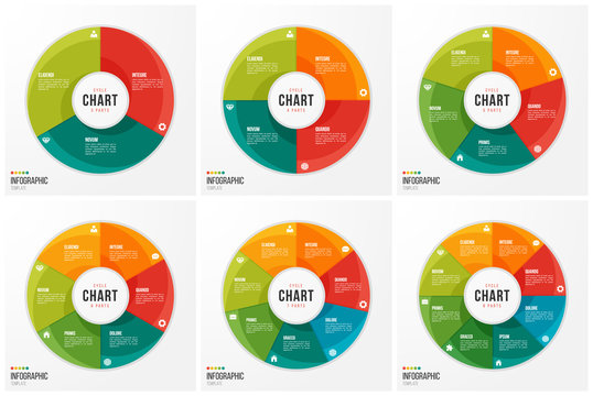 Cycle Chart Infographic Templates With 3 4 5 6 7 8 Parts, Option