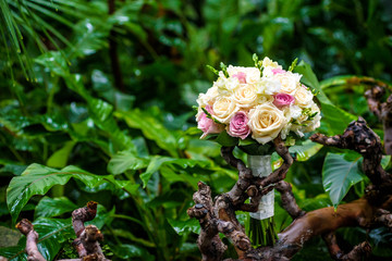 Obraz na płótnie Canvas luxurious bridal bouquet of white peonies with white ribbon at the roots of an old tree