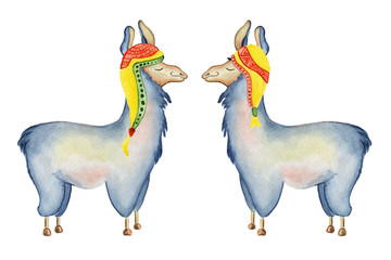 Cute Llama cartoon characters set watercolor illustration, Alpaca animals, hand drawn style.  Isolated white background