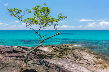 Fototapeta na wymiar Beautiful rocky coast on Koh Kood island in Thailand