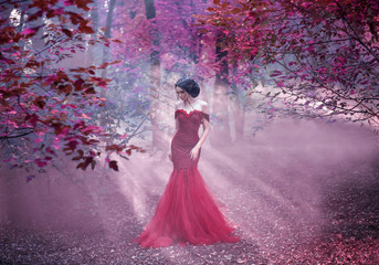 Attractive girl in a red dress. Walk in the fairy forest. Artistic Photography