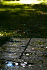 puddle of rain water on slate walkway