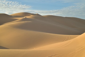 Fototapeta na wymiar sand dunes in Imperial Sand Dunes BLM lands, California, USA