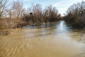 The river after the showers came out of the shores