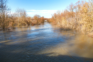 Fototapeta premium The river after the showers came out of the shores