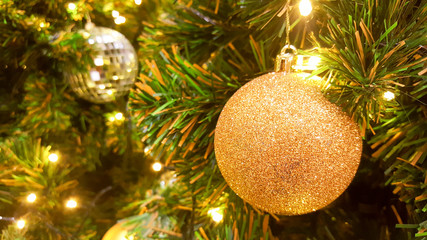Christmas golden glister ball decorate on pine tree with warm light bulb for celebration party.