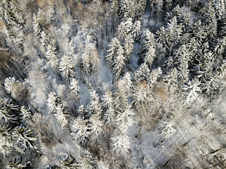 Aerial view of snow covered forest in winter in Switzerland, Europe