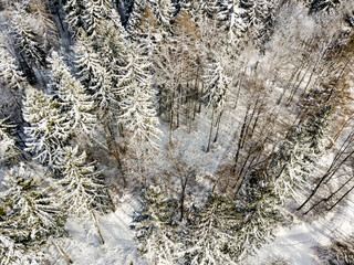 Aerial view of snow covered forest in winter in Switzerland, Europe