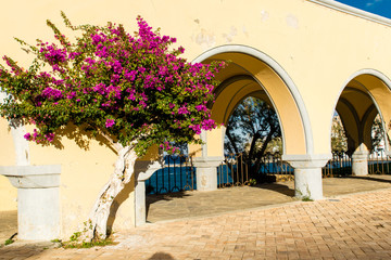 Fototapeta na wymiar A beautiful arch opening to the sea with a bougainvillea on the island of Karpathos, Greece