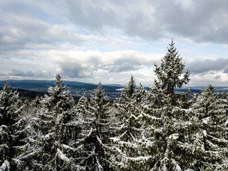 Aerial view of snow covered forest in winter in Switzerland, Europe