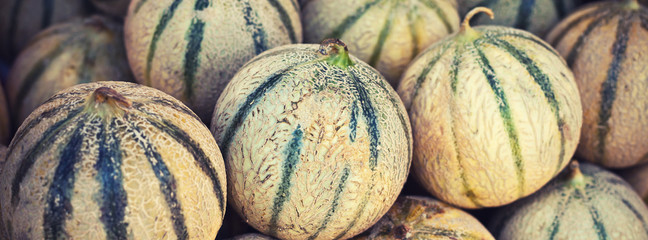 Ripe fresh melons pile in a farmers market