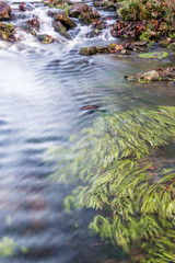 Fast river water running past grass shore line