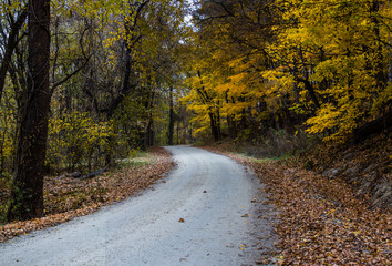 Gravel country road in fall colors