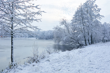 beautiful winter park