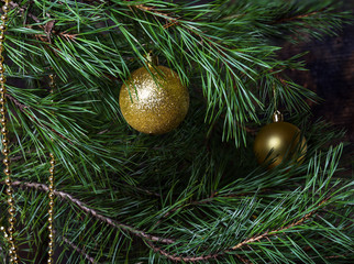 Decorated pine for Christmas and New Year