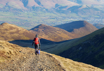 Fototapeta premium A hiker and their dog walking down the mountain ridge of Scar Crags and Causey Pike in the English Lake District, UK.