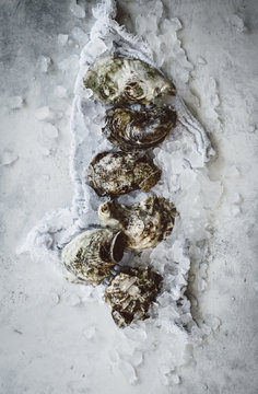 Grilled Oysters